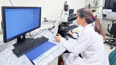 NIBD - Image