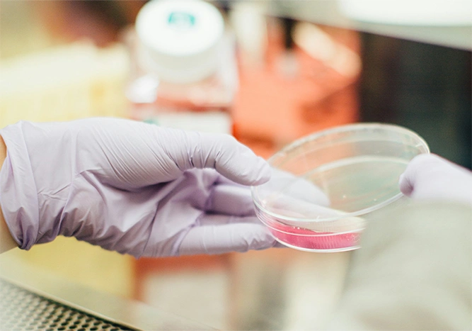 Laboratory 2